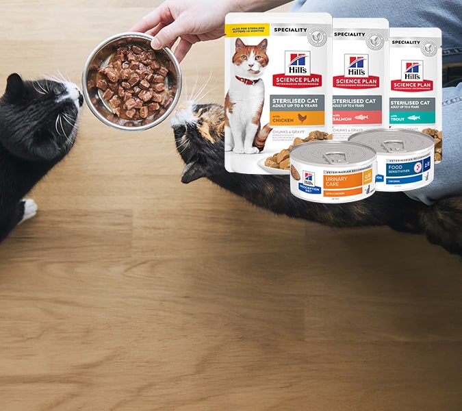 pt banner cat 4 opt