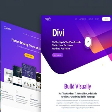 divi wordpress theme